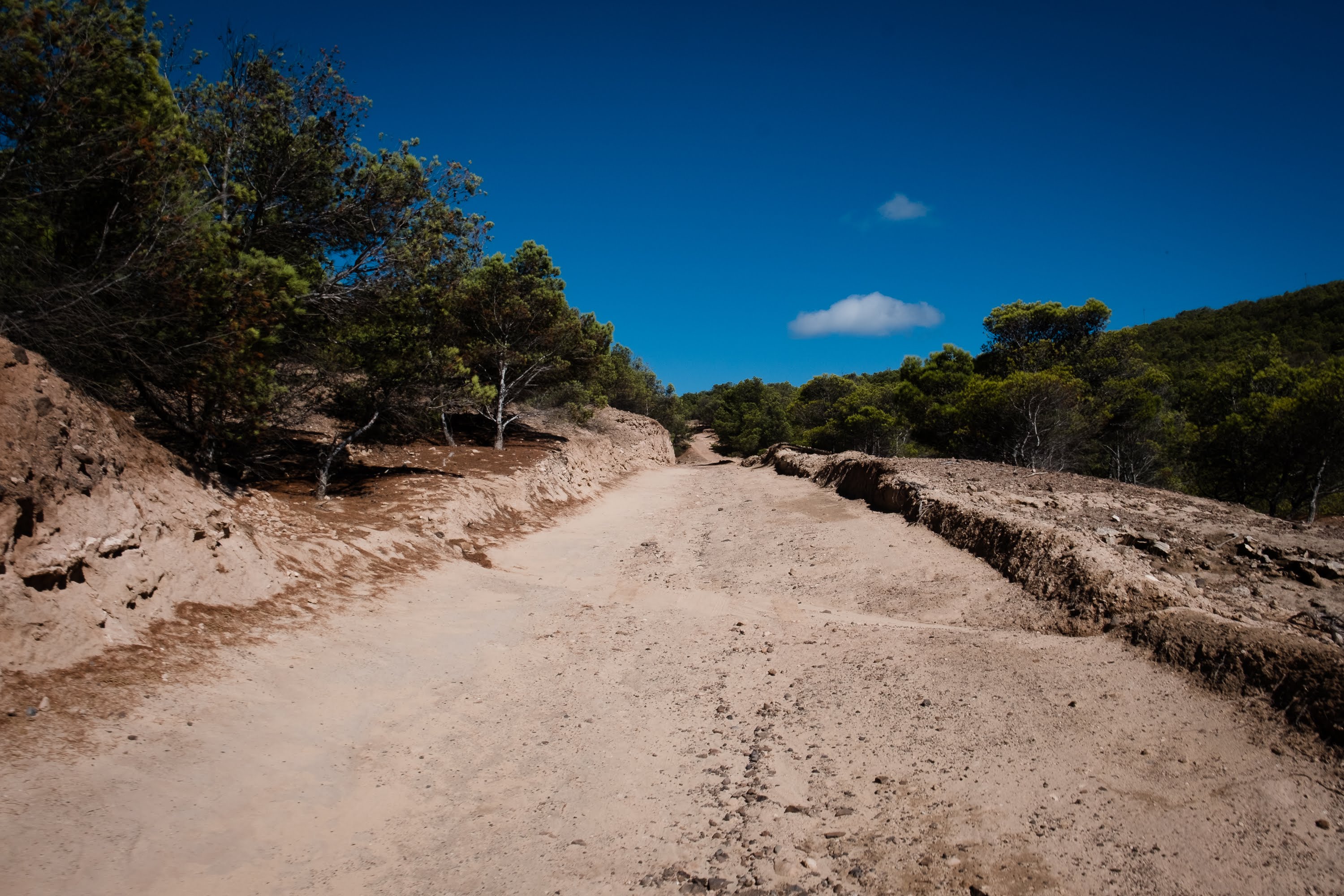 A Quick Travel Guide to Porto Santo, Madeira / Travel Guide to Portugal, Madeira Island by Sophia Giesecke for iheartAlice.com - Travel, Lifestyle & Foodblog by Alice M. Huynh