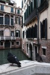 IHEARTALICE.DE – Fashion & Travel Blog: Venice/Italy Travel & Food Diary / Globetrotter Blog