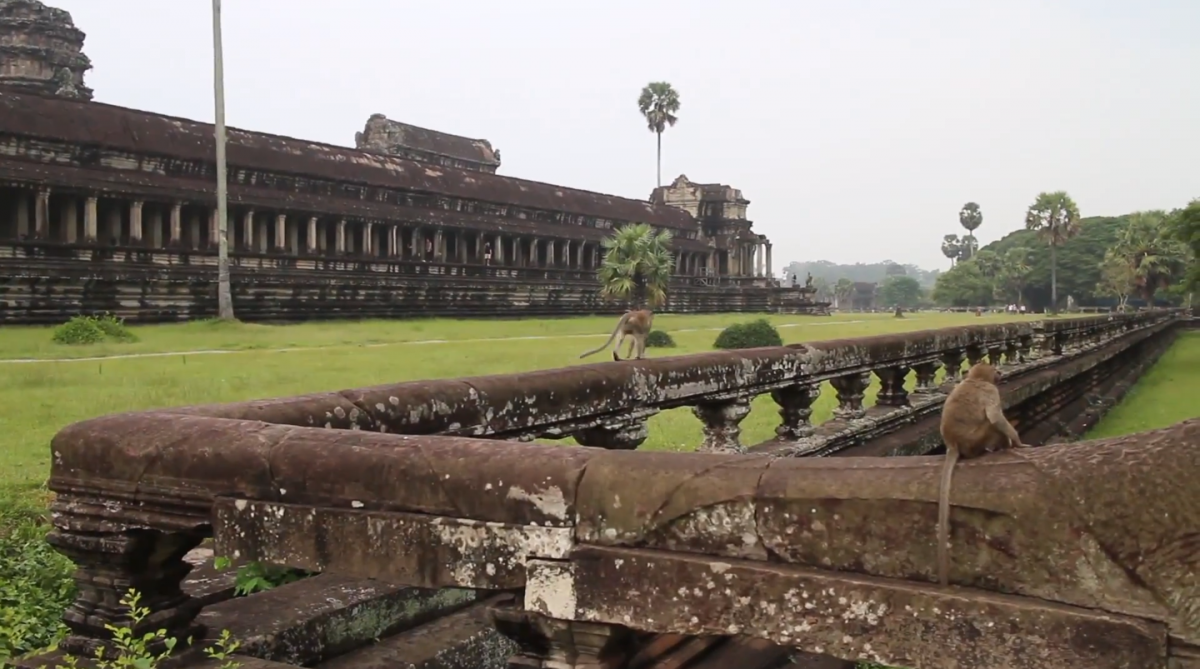 IHEARTALICE.DE – Fashion & Travel-Blog by Alice M. Huynh from Berlin/Germany: Siem Reap Travel Diary / FMA Vlog Siem Reap Cambodia / Travel Guide