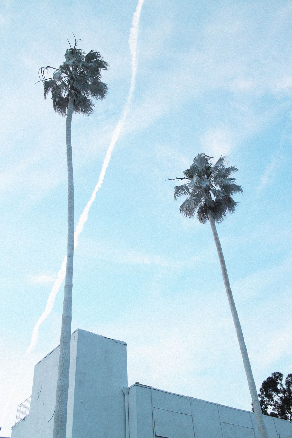 I heart Alice Los Angeles Travel Diary: "Projections" by Vincent Lamouroux / Bates Motel in LA