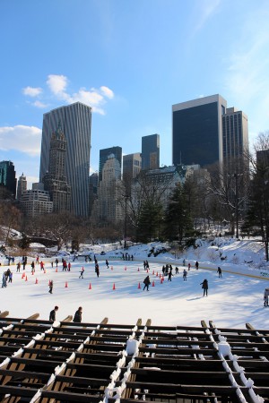 German Fashionblog & Travelblog by Alice M. Huynh – New York Travel Diary: Central Park im Winter