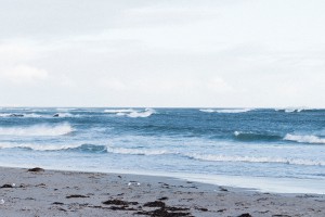 Seal Bay on Kangaroo Island, Australia