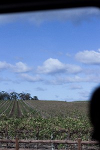 Barossa Valley Adelaide