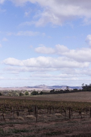 Barossa Valley Adelaide