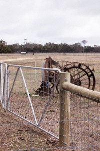 Travel Guide Kangaroo Island, Australia