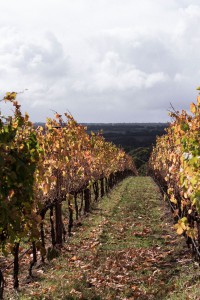 Travel Guide Kangaroo Island, Australia