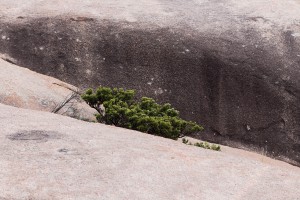 Remarkable Rocks, Kangaroo Island Australia