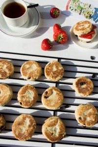 Welsh Cake Rezept