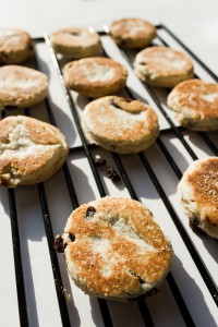 Welsh Cake Rezept