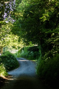 Brecon Beacon Nationalpark / Wales Travel Diary