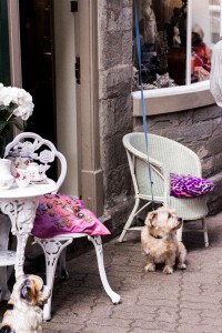 Hay on Wye Travel Guide / Wales Travel Diary