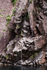 Travel Guide Bergen, Norway / IheartAlice.com