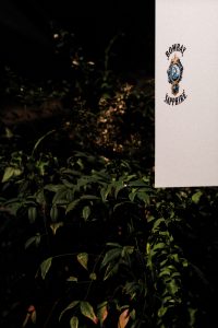 Bombay Sapphire x JUNIQ Secret Art Garden / Berlin Art Week - IheartAlice.com