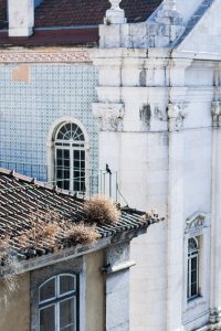 Lisbon Travel Guide - Lisbon Food Guide / Roadtrip through Portugal // IheartAlice.com