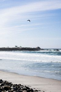 Big Sur Travel Diary - California Roadtrip w/ Air Berlin / Travelblog & Lifestyleblog IheartAlice.com by Alice M. Huynh