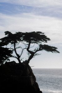 Big Sur Travel Diary - California Roadtrip w/ Air Berlin / Travelblog & Lifestyleblog IheartAlice.com by Alice M. Huynh