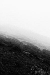 San Francisco Travel Diary - California Roadtrip w/ Air Berlin / Travelblog & Lifestyleblog IheartAlice.com by Alice M. Huynh