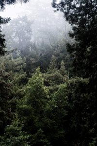San Francisco Travel Diary - California Roadtrip w/ Air Berlin / Travelblog & Lifestyleblog IheartAlice.com by Alice M. Huynh