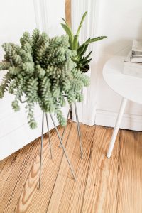 Living Room Inspiration: FERM Living Plantstand & Menu YEH Table from CONNOX / IheartAlice.com