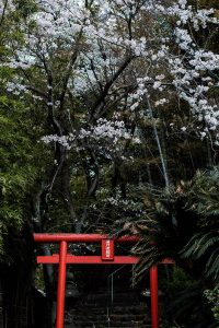 Beppu Travel Diary / Japan Travel Guide - IheartAlice.com