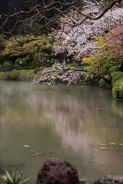 Beppu Travel Diary / Japan Travel Guide - IheartAlice.com