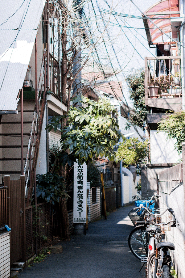 Experience Local Tokyo – Mit Airbnb in Japan / Travel & Lifestyle Blog by IheartAlice.com