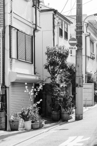 Experience Local Tokyo – Mit Airbnb in Japan / Travel & Lifestyle Blog by IheartAlice.com