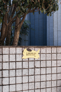 Experience Local Tokyo – Mit Airbnb in Japan / Travel & Lifestyle Blog by IheartAlice.com