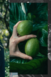4711 Acqua Colonia Green Tea & Bergamot Fragrance / Beauty by iHeartAlice.com - Alice M. Huynh / Lifestyle & Travelblog