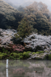 Inbetween The Steam – Jigoku Meguri, Beppu / Beppu Travel Diary: Onsen Japan Phtography - IheartAlice.com