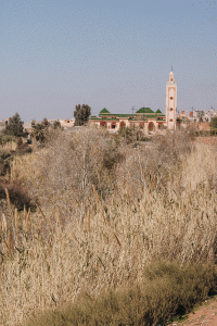 Kasbah Du Toubkal – Morocco Atlas Mountain Hiking tours / Green Travel & Wanderungen im Atlasgebirge, Marokko / iHeartAlice.com – Travel & Lifestyleblog