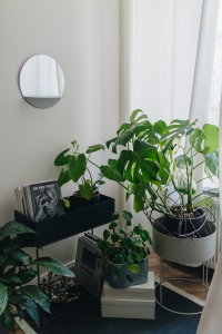 Plantcorner Inspiration with ferm Living Plant Box & Flinders / Minimalist Interior Inspiration with iHeartAlice.com by Alice M. Huynh