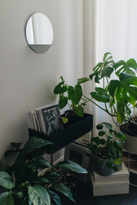 Plantcorner Inspiration with ferm Living Plant Box & Flinders / Minimalist Interior Inspiration with iHeartAlice.com by Alice M. Huynh