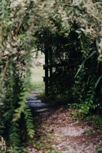 A Quick Guide to Zagreb & Slavonia in Croatia by Sophia Giesecke / iHeartAlice.com - Travel & Lifestyle Blog by Alice M. Huynh