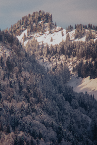 Homecoming / Oberstdorf, Allgäu in Germany / iHeartAlice.com - Travel & Lifestyleblog by Alice M. Huynh