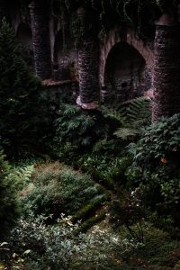 A Quick Guide To Madeira / Travel Guide To Madeira, Portugal by Sophia Giesecke / iHeartAlice.com - Travel & Lifestyleblog by Alice M. Huynh