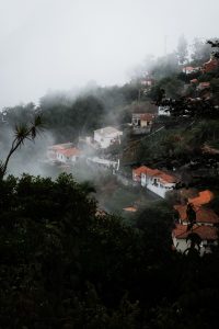 A Quick Guide To Madeira / Travel Guide To Madeira, Portugal by Sophia Giesecke / iHeartAlice.com - Travel & Lifestyleblog by Alice M. Huynh