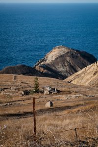 A Quick Travel Guide to Porto Santo, Madeira / Travel Guide to Portugal, Madeira Island by Sophia Giesecke for iheartAlice.com - Travel, Lifestyle & Foodblog by Alice M. Huynh