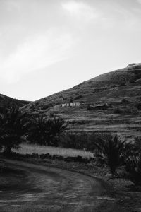 A Quick Travel Guide to Porto Santo, Madeira / Travel Guide to Portugal, Madeira Island by Sophia Giesecke for iheartAlice.com - Travel, Lifestyle & Foodblog by Alice M. Huynh