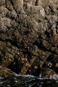 A Quick Travel Guide to Porto Santo, Madeira / Travel Guide to Portugal, Madeira Island by Sophia Giesecke for iheartAlice.com - Travel, Lifestyle & Foodblog by Alice M. Huynh