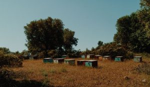 Halkidiki Travel Diary with Miraggio Thermal Spa Resort
