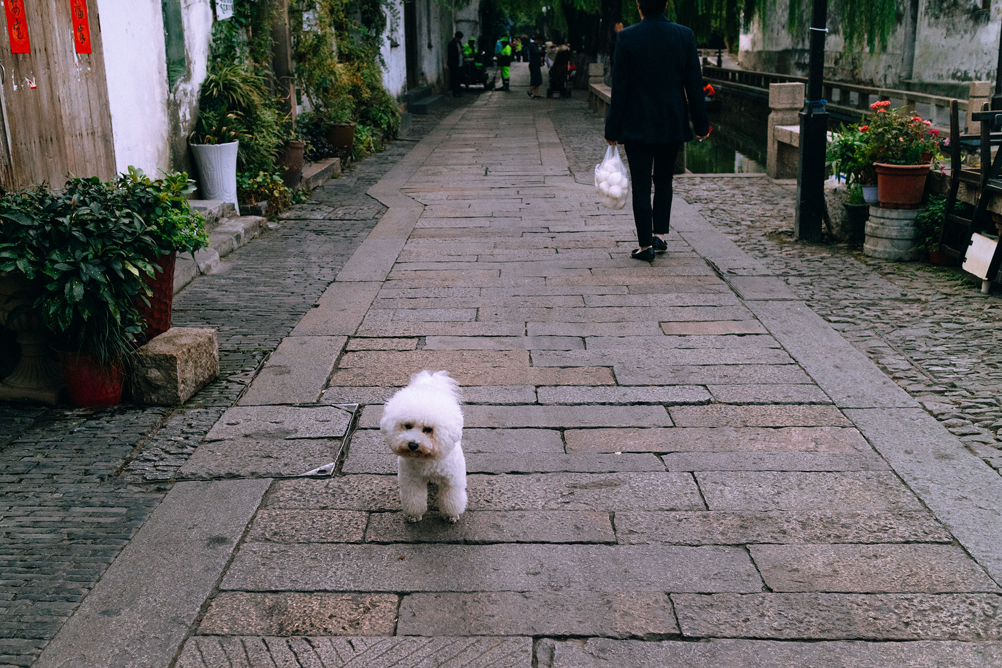 On The Streets of... Suzhou, Jiangsu Province / Suzhou Travel Guide / Watertown Zhouzhuang – Travel, Lifestyle & Fashionblog by Alice M. Huynh / iHeartAlice.com