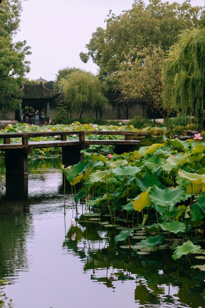 Humble Administrator's Garden in Suzhou – Zhuo Zheng Yuan in Jiangsu Province / Suzhou Travel Guide – Travel, Lifestyle & Fashionblog by Alice M. Huynh / iHeartAlice.com
