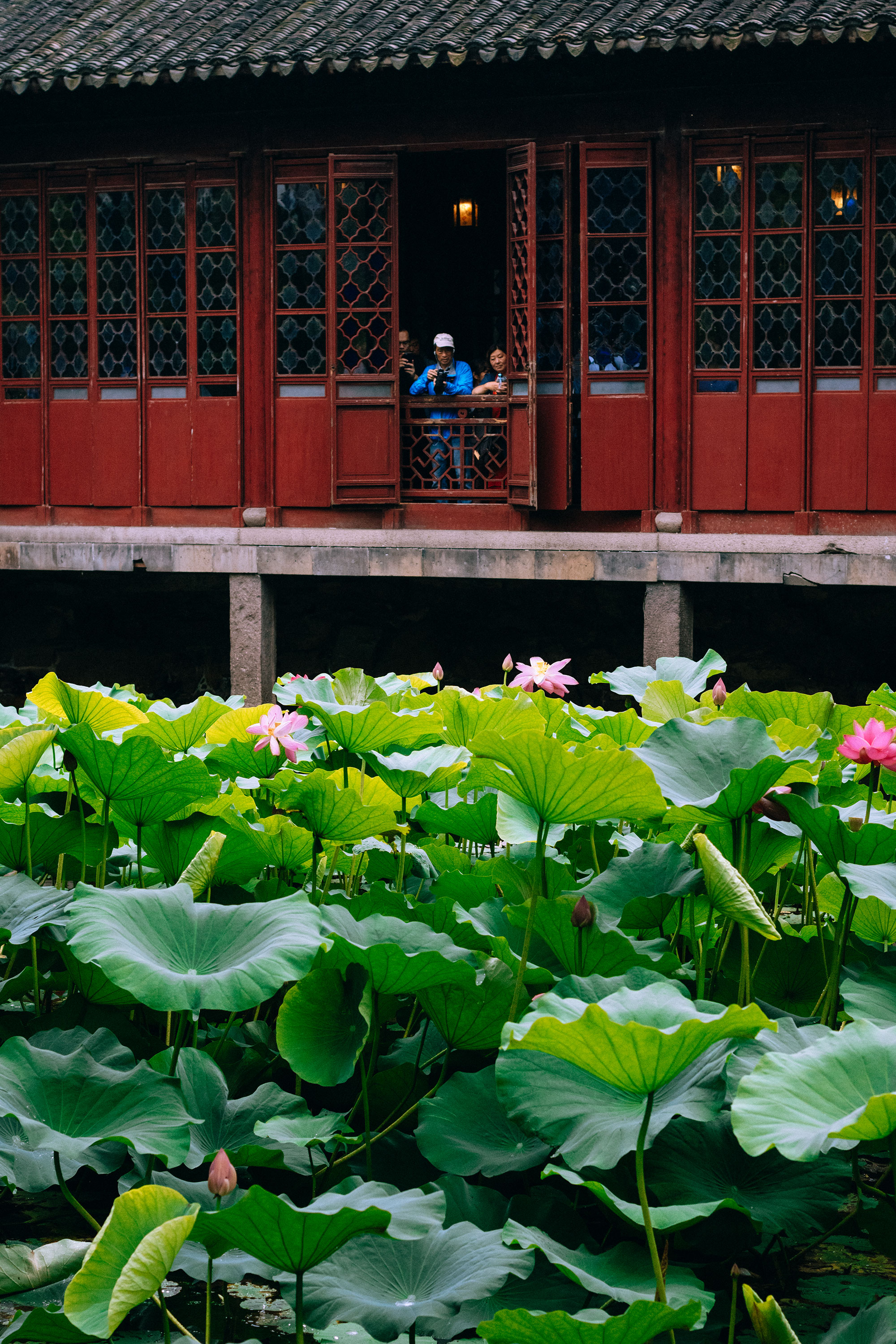 Humble Administrator's Garden in Suzhou – Zhuo Zheng Yuan in Jiangsu Province / Suzhou Travel Guide – Travel, Lifestyle & Fashionblog by Alice M. Huynh / iHeartAlice.com