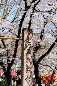 Hanami Season in Osaka / A Quick Travel Guide to Osaka, Japan by iHeartAlice.com – Travel, Lifestyle, Style & Foodblog by Alice M. Huynh