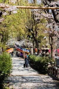 Osaka in Spring - Hanami Season in Osaka / A Quick Travel Guide to Osaka, Japan by iHeartAlice.com – Travel, Lifestyle, Style & Foodblog by Alice M. Huynh