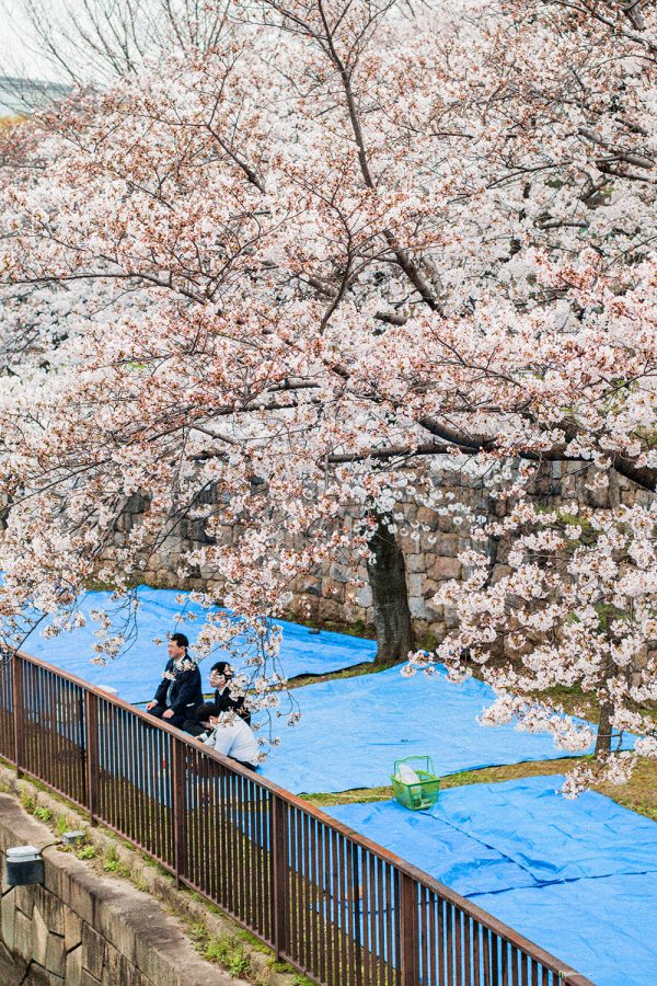 Osaka in Spring - Hanami Season in Osaka / A Quick Travel Guide to Osaka, Japan by iHeartAlice.com – Travel, Lifestyle, Style & Foodblog by Alice M. Huynh