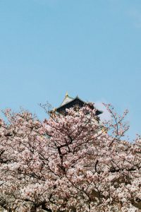 Osaka in Spring - Hanami Season in Osaka / A Quick Travel Guide to Osaka, Japan by iHeartAlice.com – Travel, Lifestyle, Style & Foodblog by Alice M. Huynh