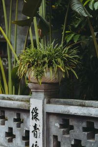 A Quick Travel Guide To Hanoi, Vietnam / 6 Things To Do In Hanoi - iHeartAlice.com Travel, Food & Lifestyleblog by Alice M. Huynh / Vietnam Travel Guide