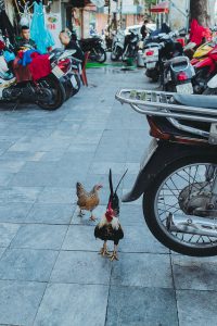 A Quick Travel Guide To Hanoi, Vietnam / 6 Things To Do In Hanoi - iHeartAlice.com Travel, Food & Lifestyleblog by Alice M. Huynh / Vietnam Travel Guide